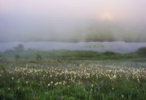 Jarní Ráno Východ Slunce Údolí Malebné Řeky Mlhavé Ráno — Stock fotografie