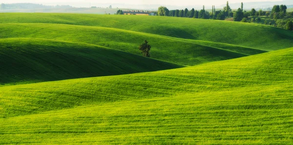 丘陵领域 春天的山丘 风景秀丽的农业领域 — 图库照片