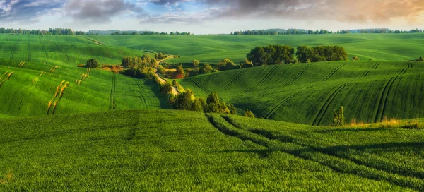 Hügelland Frühlingshügel Landwirtschaftliches Feld — Stockfoto