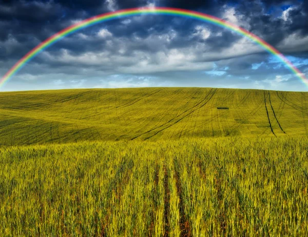 Vista Panoramica Dell Arcobaleno Sul Campo Verde — Foto Stock