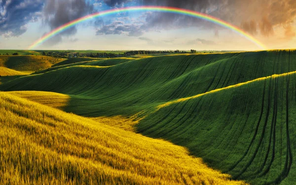 Szenische Ansicht Des Regenbogens Über Dem Grünen Feld — Stockfoto
