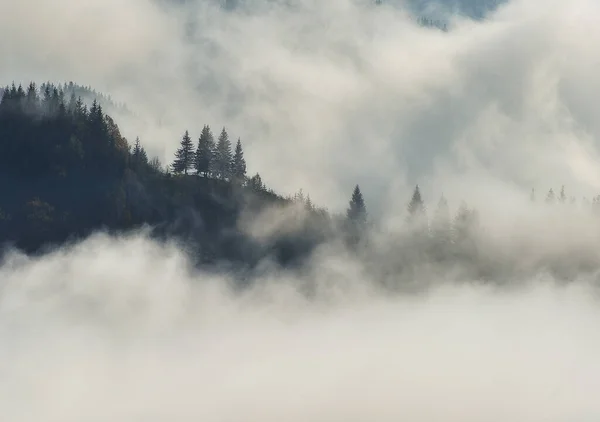 Ώρα Πριν Την Αυγή Στα Ορεινά Ορεινές Σιλουέτες Στην Ομίχλη — Φωτογραφία Αρχείου