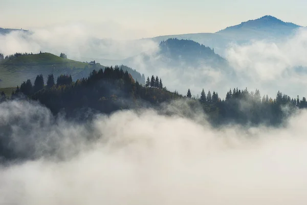 Hora Del Amanecer Las Tierras Altas Siluetas Montaña Niebla — Foto de Stock