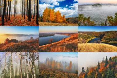Sonbahar Kolajı. bir dizi sonbahar manzarası