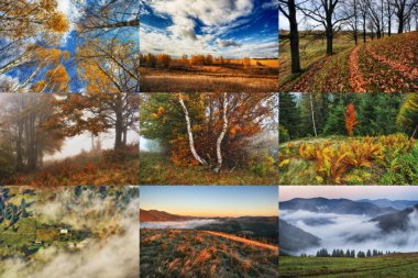 Sonbahar Kolajı. bir dizi sonbahar manzarası