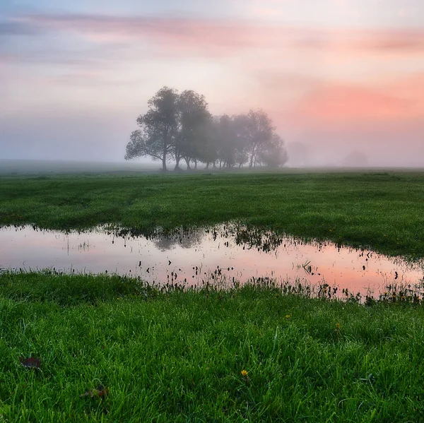 Ranní Mlha Řece — Stock fotografie