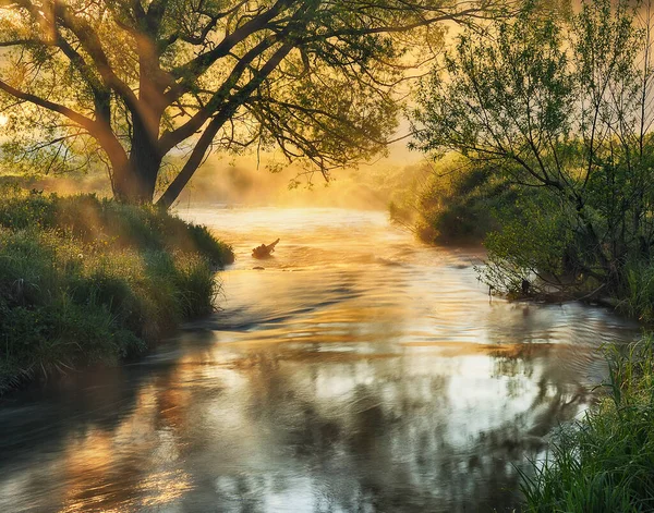 Morgennebel Auf Dem Fluss — Stockfoto