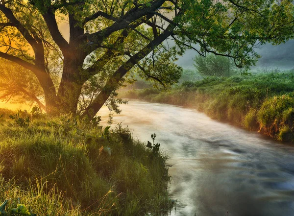 Ranní Mlha Řece — Stock fotografie