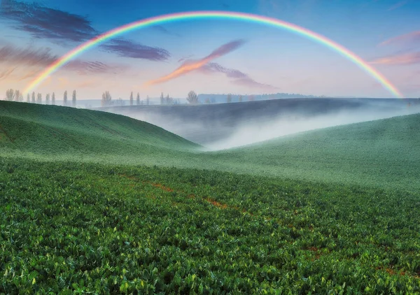 Rainbow Picturesque Hilly Field — Stock Photo, Image