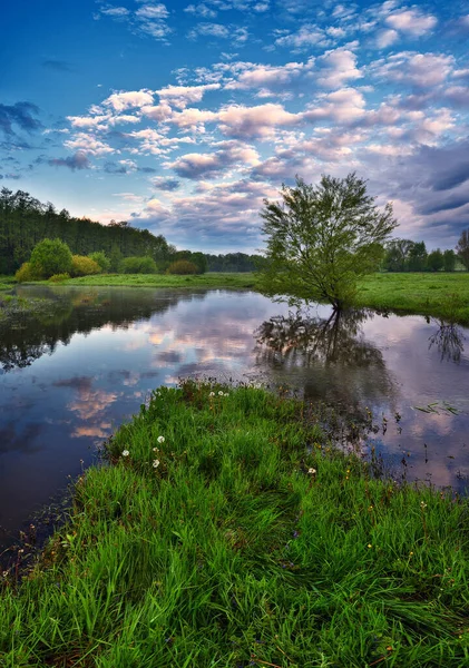 Prachtige Lente Zonsopgang Rivieroevers — Stockfoto