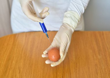 Şırınga ve yumurta kullanan bilim adamı.