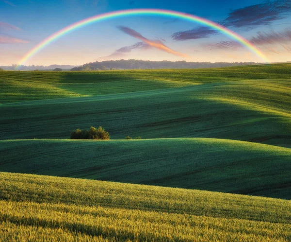 Vue Panoramique Arc Ciel Sur Champ Vert — Photo