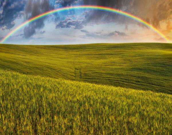 Szenische Ansicht Des Regenbogens Über Dem Grünen Feld — Stockfoto