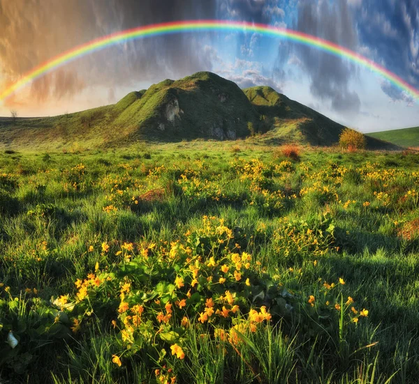 Regenbogen Über Der Wiese Malerischer Frühlingsmorgen — Stockfoto