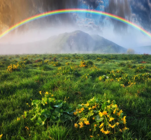 彩虹掠过草地 美丽的春天早晨 — 图库照片