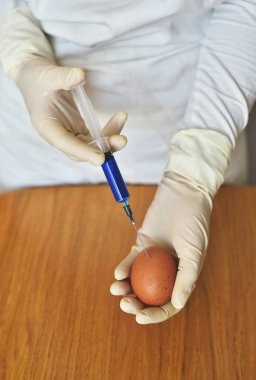 Şırınga ve yumurta kullanan bilim adamı.