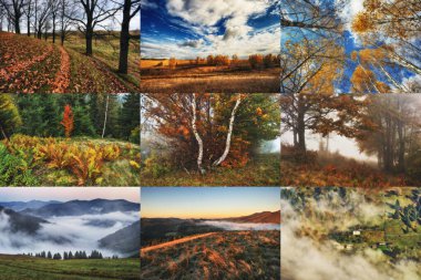 Sonbahar Kolajı. bir dizi sonbahar manzarası
