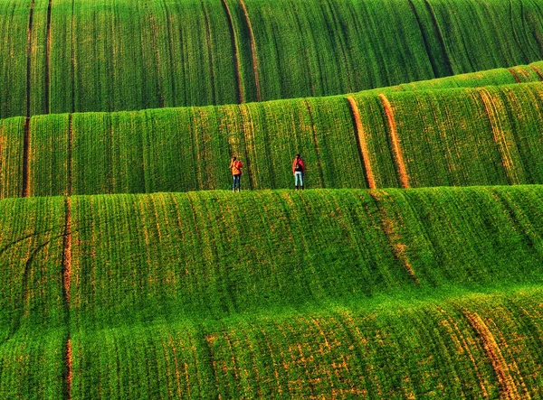 Tourist Enjoys Rural Landscape Hills Farmland — Stock Photo, Image