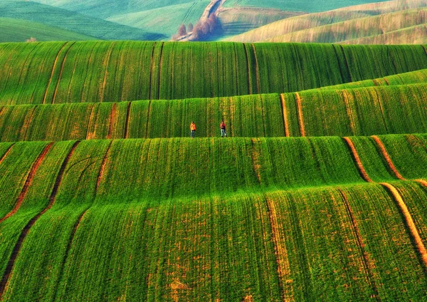 Turista Desfruta Paisagem Rural Colinas Terras Agrícolas — Fotografia de Stock