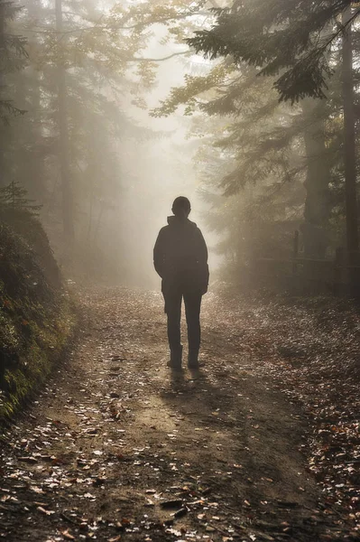 Donna Nel Bosco Passeggiata Turistica Nella Nebbiosa Foresta Autunnale — Foto Stock