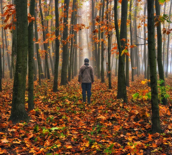 Man Walking Fantasy Autumn Forest Silhouette Man Dark Foggy Forest — Stock Photo, Image