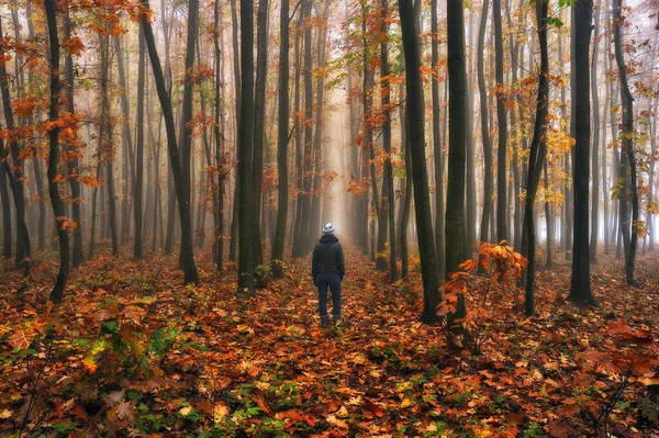 Woman Walking Fantasy Autumn Forest Silhouette Woman Dark Foggy Forest — Stock Photo, Image