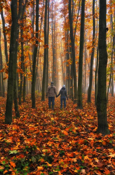 Paar Beim Spazierengehen Fantastischen Herbstwald Silhouette Von Frau Und Mann — Stockfoto