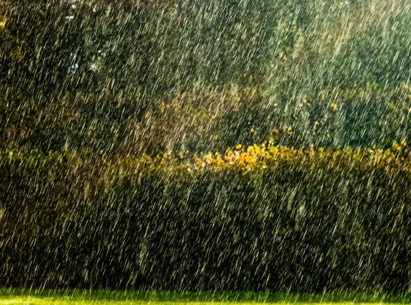 Rainy Day Park — Stock Photo, Image