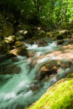 Büyük taşlarla ormandaki bir dağ nehir akar