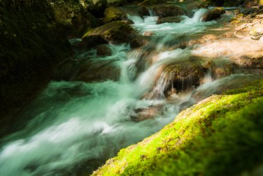 Büyük taşlarla ormandaki bir dağ nehir akar