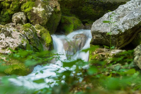Büyük taşlarla ormandaki bir dağ nehir akar