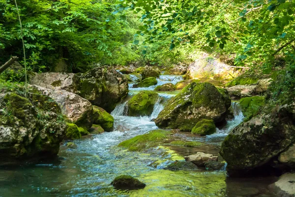 Büyük Taşlarla Ormandaki Bir Dağ Nehir Akar - Stok İmaj