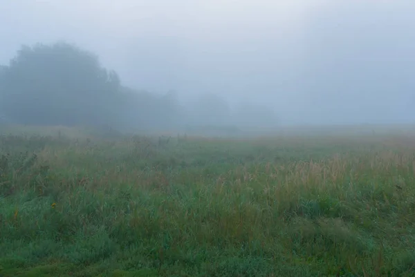 Way Fairy Fog Early Morning — Stock Photo, Image