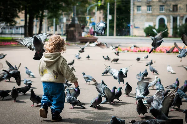 Ein Kleines Kind Auf Dem Platz Mit Fliegenden Tauben — Stockfoto