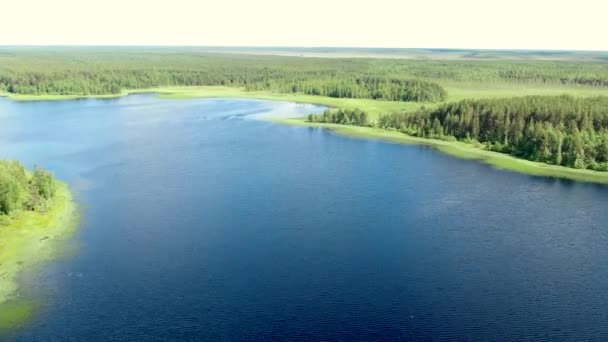 Volo sul lago della foresta di taiga — Video Stock