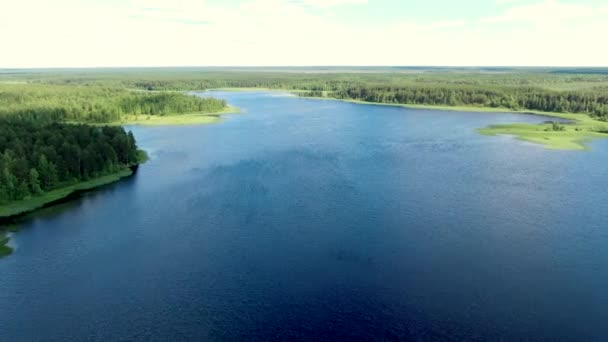 Vuelo sobre el lago del bosque de taiga — Vídeos de Stock
