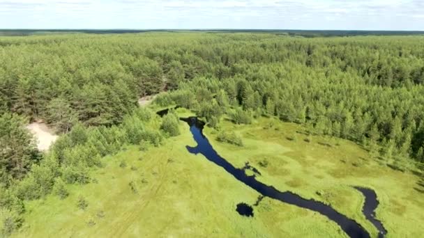 Лесная река в летней тайге с высоты полета — стоковое видео
