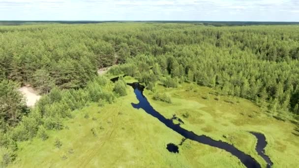 Rivière forestière dans la taïga estivale à partir d'une hauteur de vol