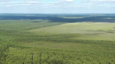 Tayga üzerinden uçmak. Yükseklerden çam ormanı.