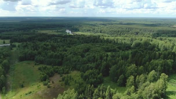 Leśna rzeka w letniej tajdze z wysokości lotu — Wideo stockowe