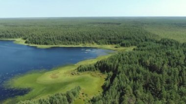 Taiga Orman Gölü üzerinden uçmak