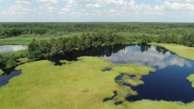 Taiga Orman Gölü üzerinden uçmak