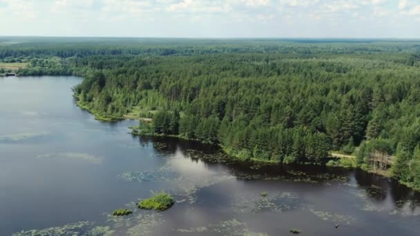 Flight over the taiga forest lake — Stock Video