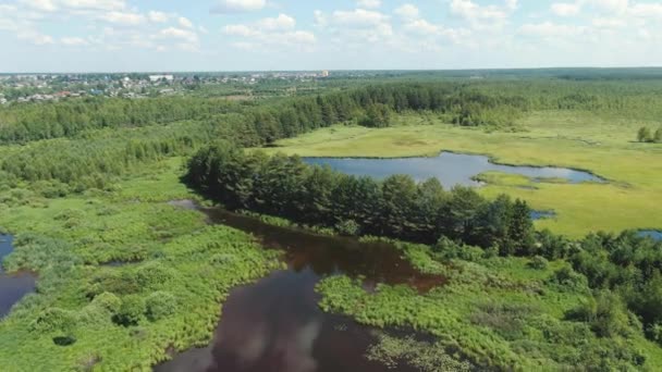 Vuelo sobre el lago del bosque de taiga — Vídeos de Stock