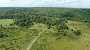 Tayga üzerinden uçmak. Yükseklerden çam ormanı.