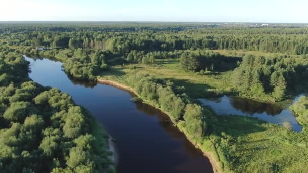 Fiume della foresta nella taiga estiva da un'altezza di volo — Video Stock