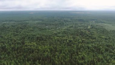 Tayga üzerinden uçmak. Yükseklerden çam ormanı.