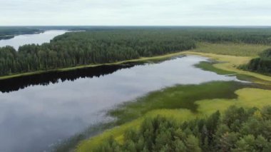 Taiga Orman Gölü üzerinden uçmak