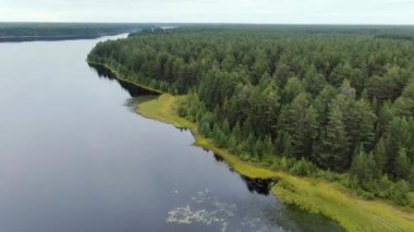 Taiga Orman Gölü üzerinden uçmak