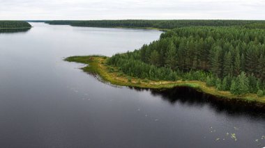 Taiga 'daki bir tepeden Orman Gölü